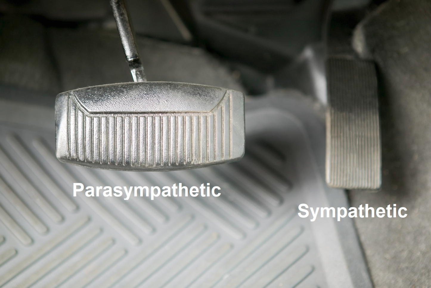 PARA-SYm