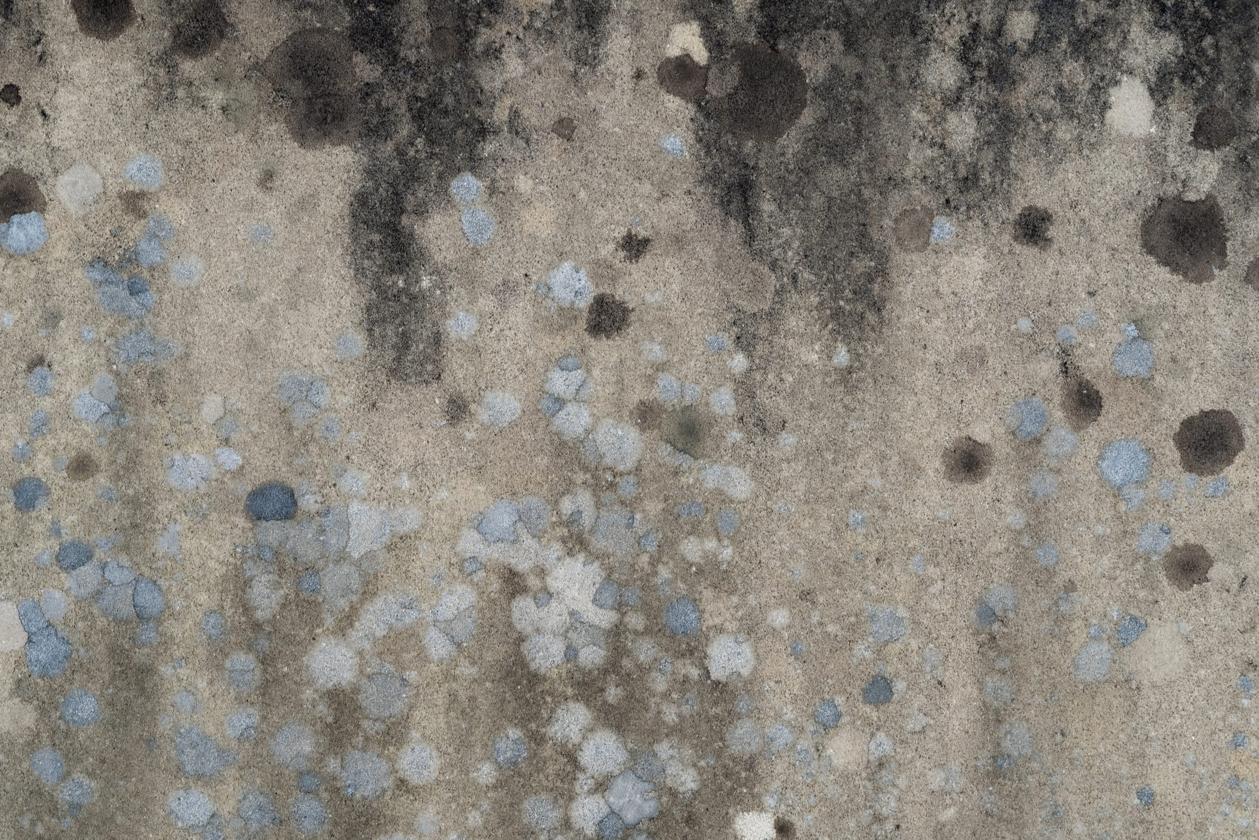 andrew-small-B-HOrhXb8kk-unsplash